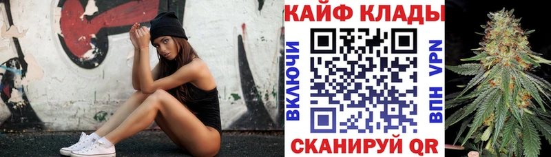 Магазины продажи наркотиков Приозерск Галлюциногенные грибы  Меф мяу мяу  ГАШ  A PVP 