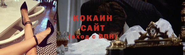 амф Алексин