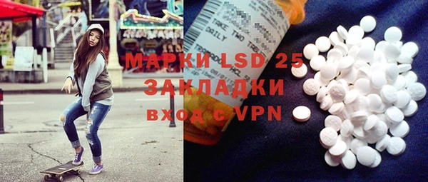 сатива Абинск
