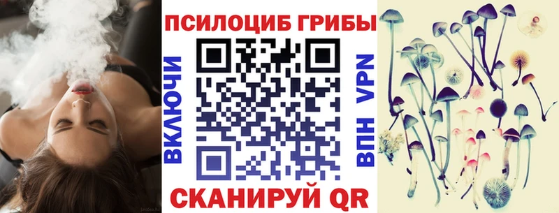 hydra маркетплейс дарнет шоп Приозерск Псилоцибиновые грибы MAGIC MUSHROOMS