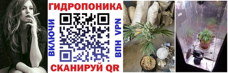 Шишки марихуана Ganja Приозерск